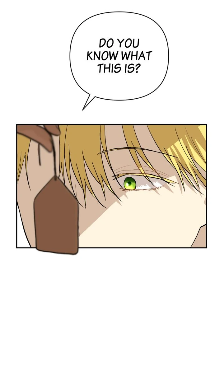 The Way to Protect the King chapter 19 page 66