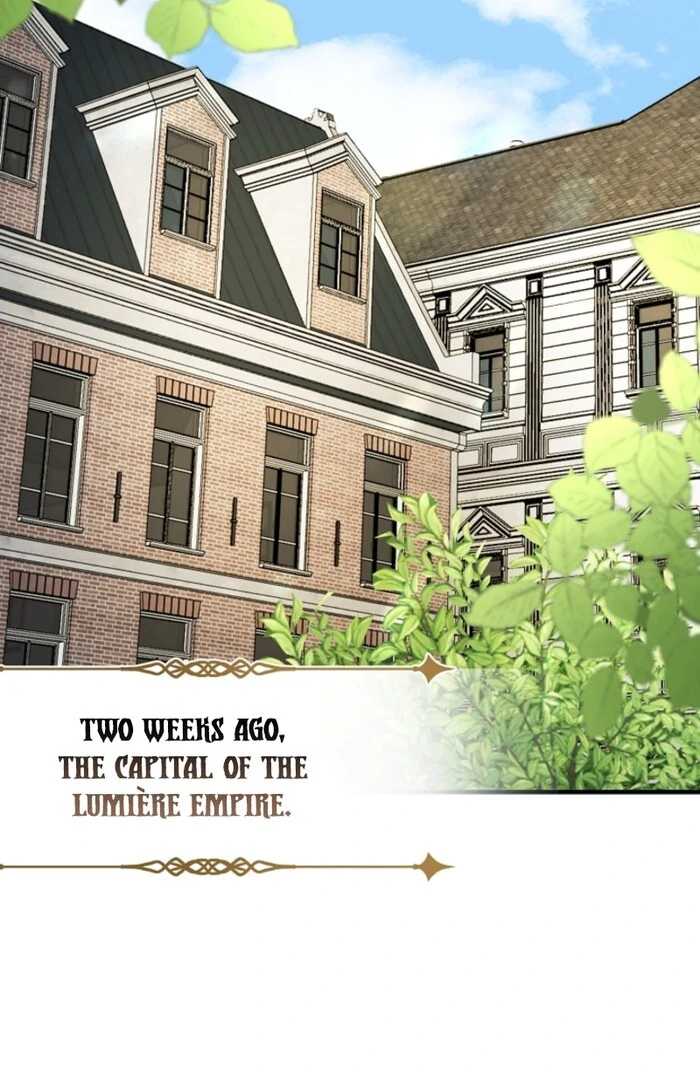 Your Highness, This Is Just a Novel chapter 1 page 44