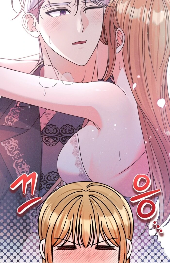Your Highness, This Is Just a Novel chapter 12 page 27