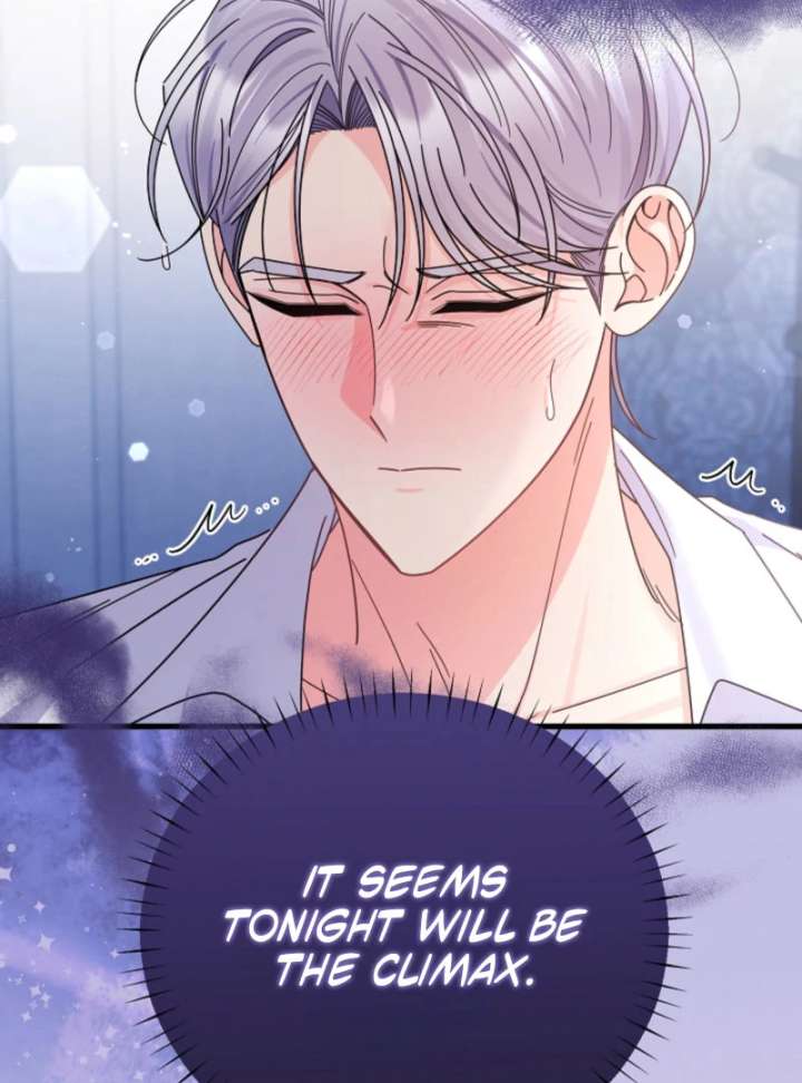 Your Highness, This Is Just a Novel chapter 16 page 42