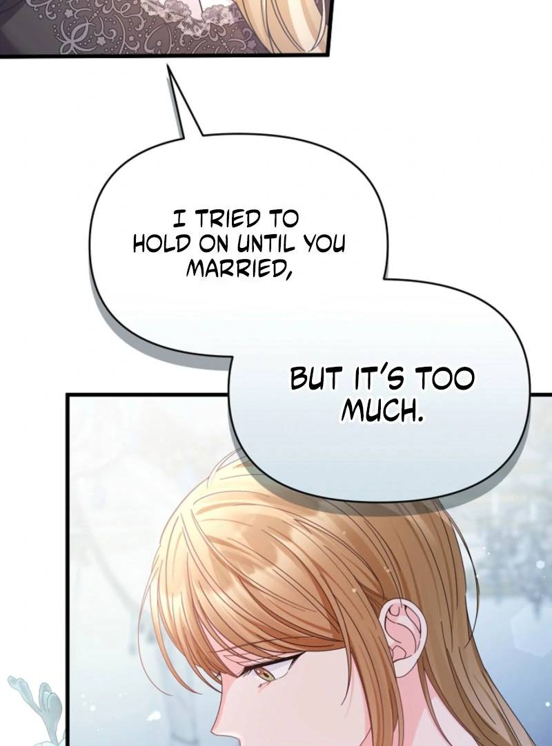 Your Highness, This Is Just a Novel chapter 19 page 72