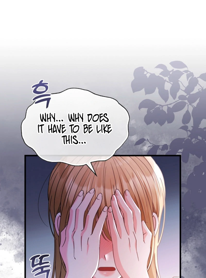 Your Highness, This Is Just a Novel chapter 20 page 39