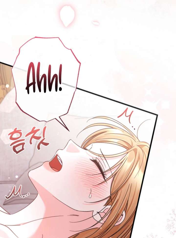Your Highness, This Is Just a Novel chapter 21 page 27