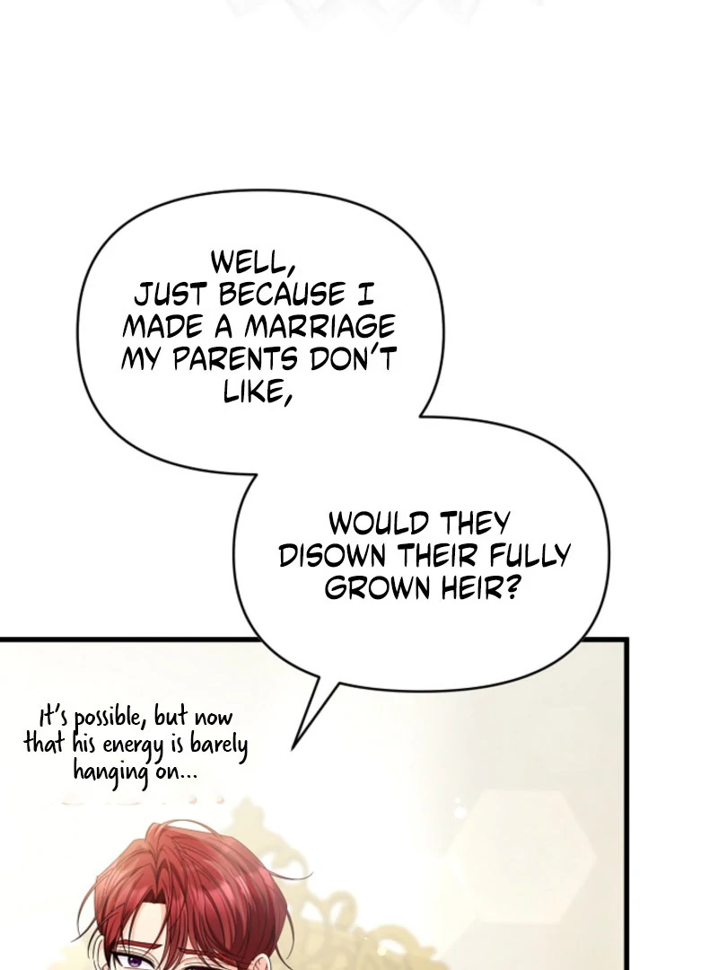Your Highness, This Is Just a Novel chapter 22 page 39
