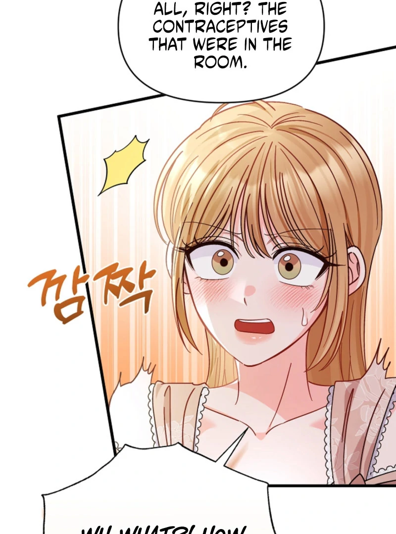 Your Highness, This Is Just a Novel chapter 22 page 99