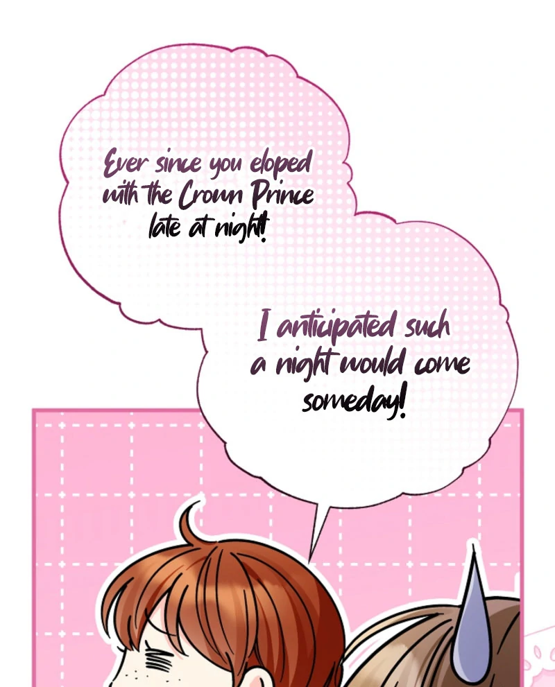 Your Highness, This Is Just a Novel chapter 22 page 102