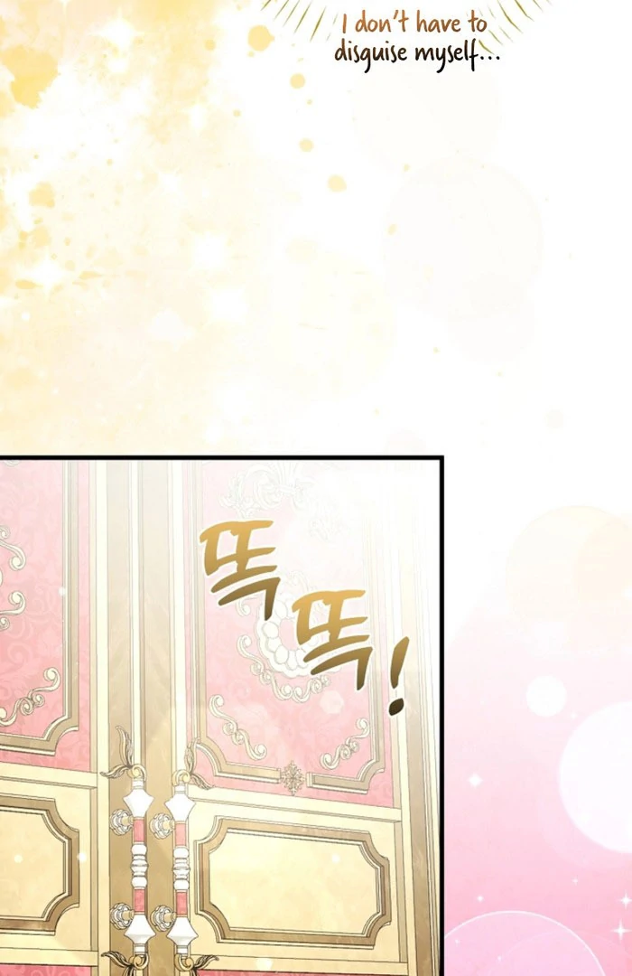 Your Highness, This Is Just a Novel chapter 23 page 27