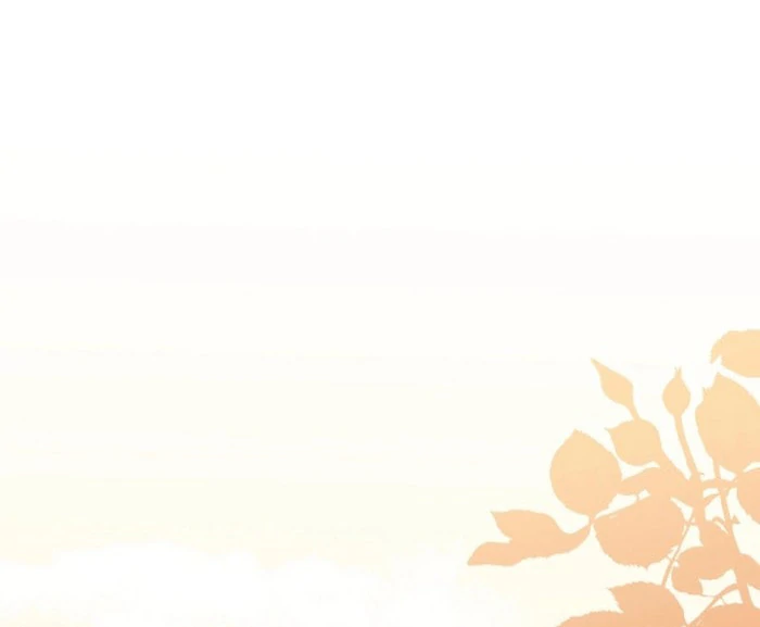 Your Highness, This Is Just a Novel chapter 23 page 79