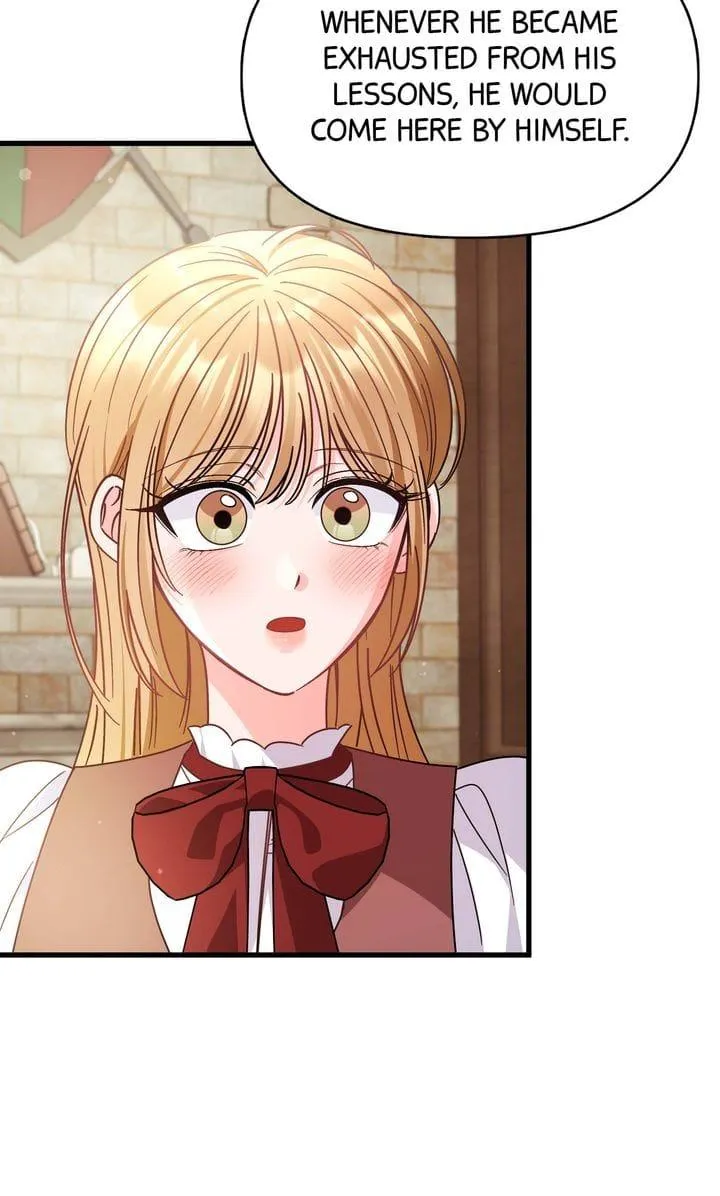 Your Highness, This Is Just a Novel chapter 30 page 11
