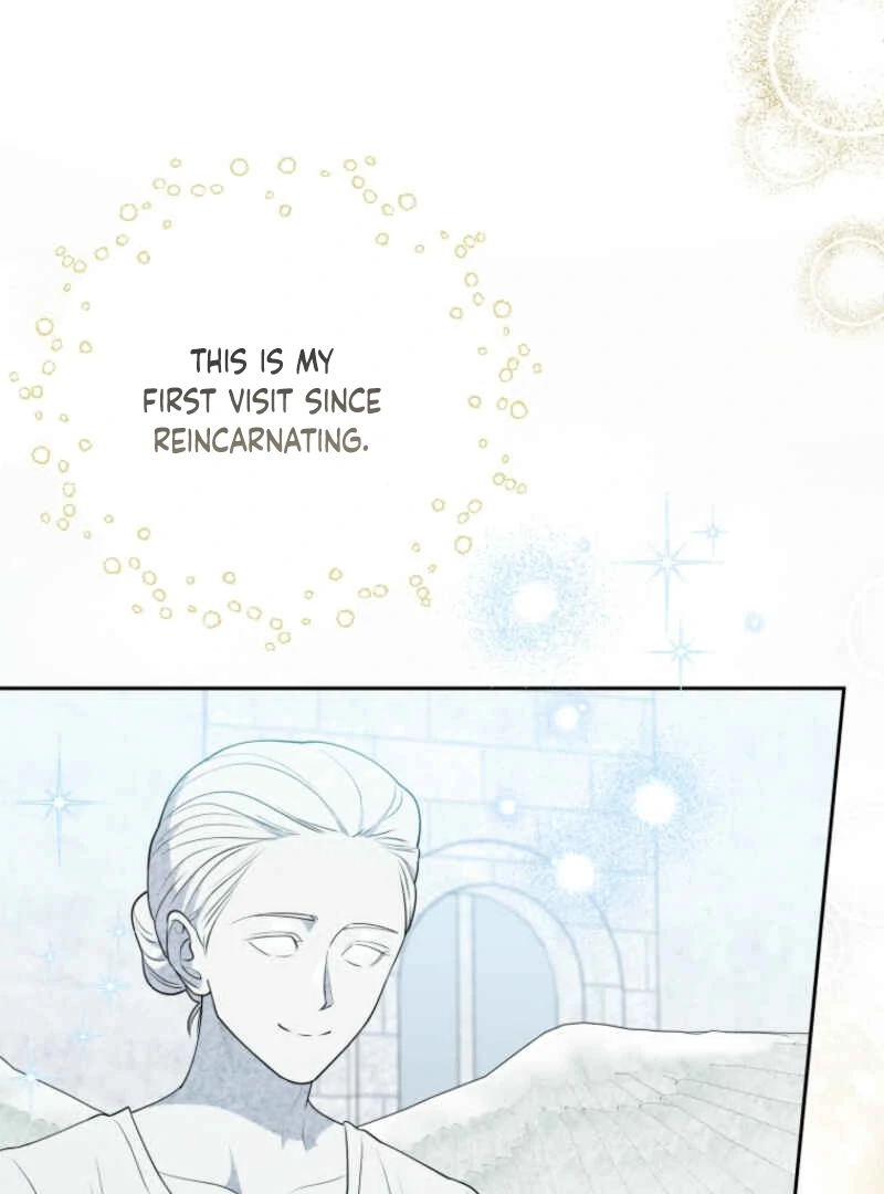 This Reincarnation Requires a Subscription Fee chapter 10 page 28