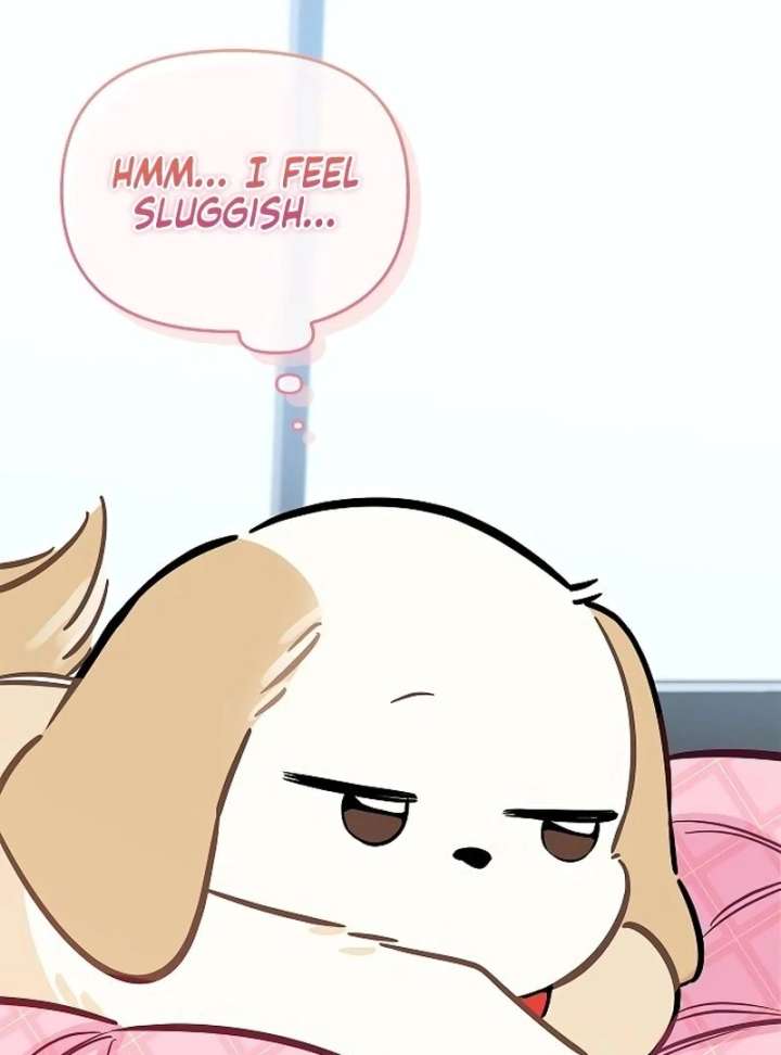 I Will Become Your Dog, Boss! chapter 21 page 43