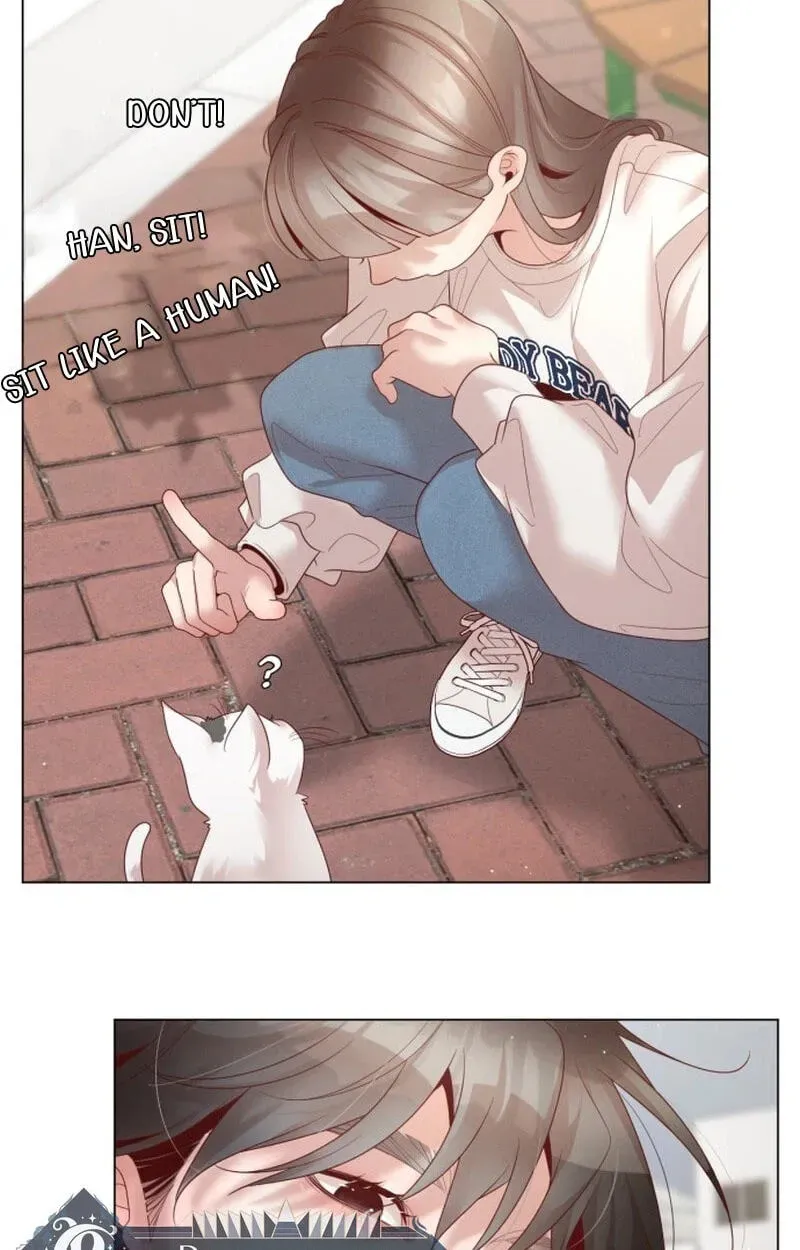 Black History Again chapter 60 page 65