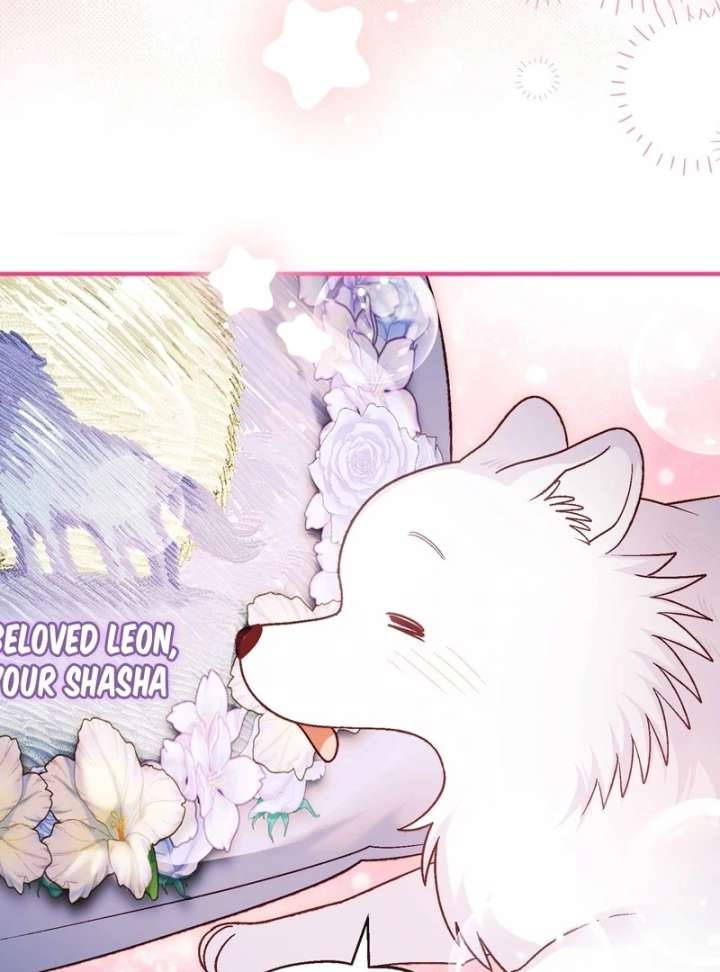 I Opened an Illegal Veterinary Clinic in Another World chapter 18 page 158