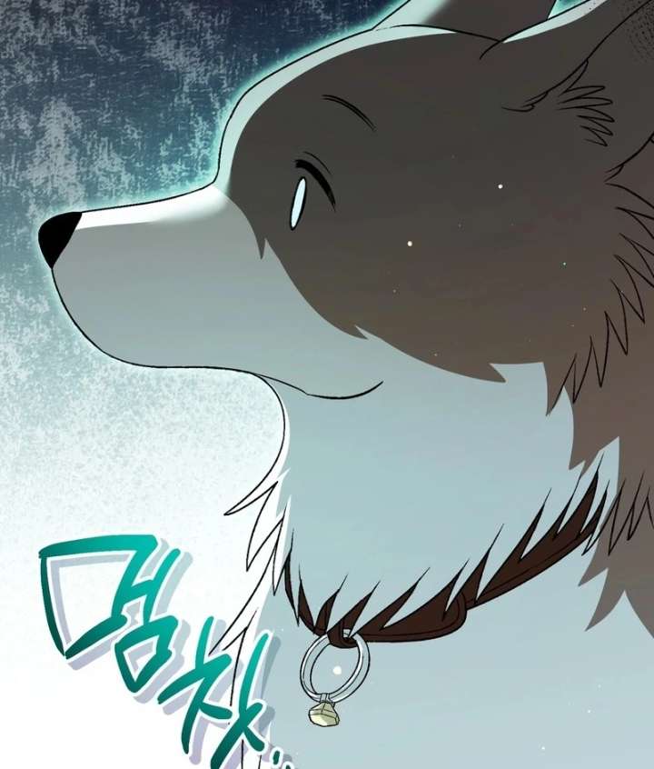 I Opened an Illegal Veterinary Clinic in Another World chapter 19 page 166