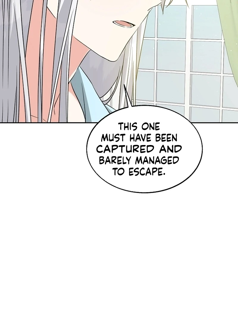 I Opened an Illegal Veterinary Clinic in Another World chapter 21 page 96