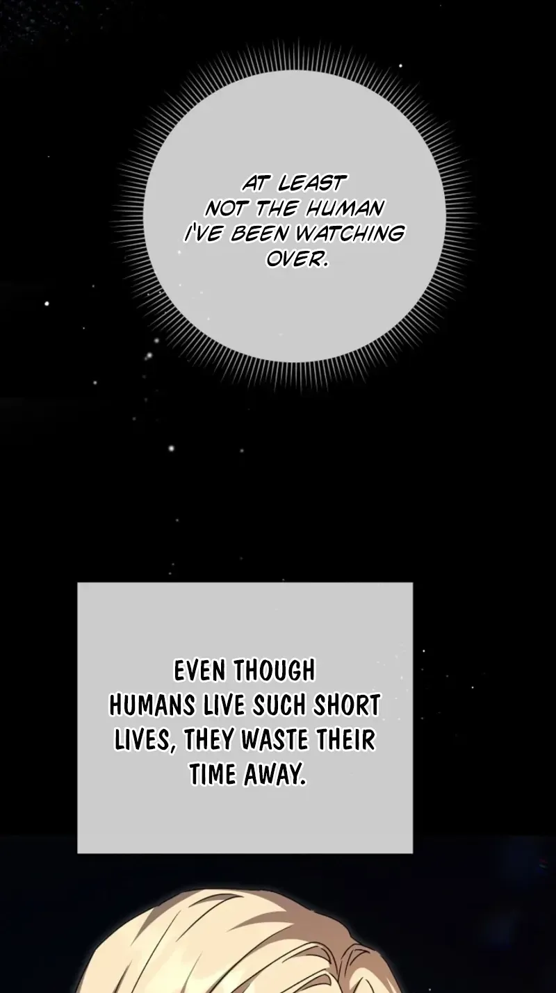 I Opened an Illegal Veterinary Clinic in Another World chapter 42 page 95