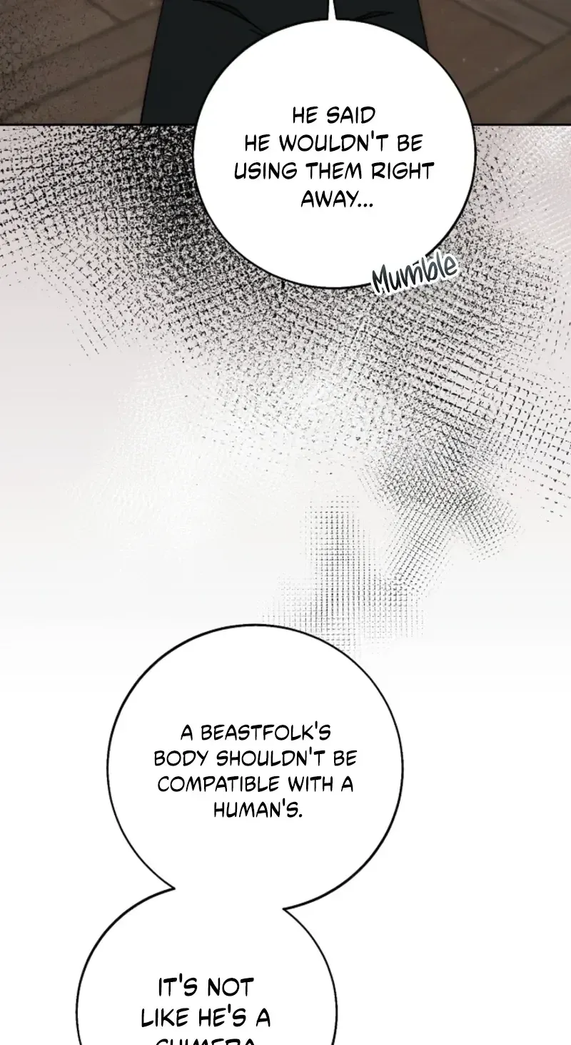 I Opened an Illegal Veterinary Clinic in Another World chapter 42 page 50