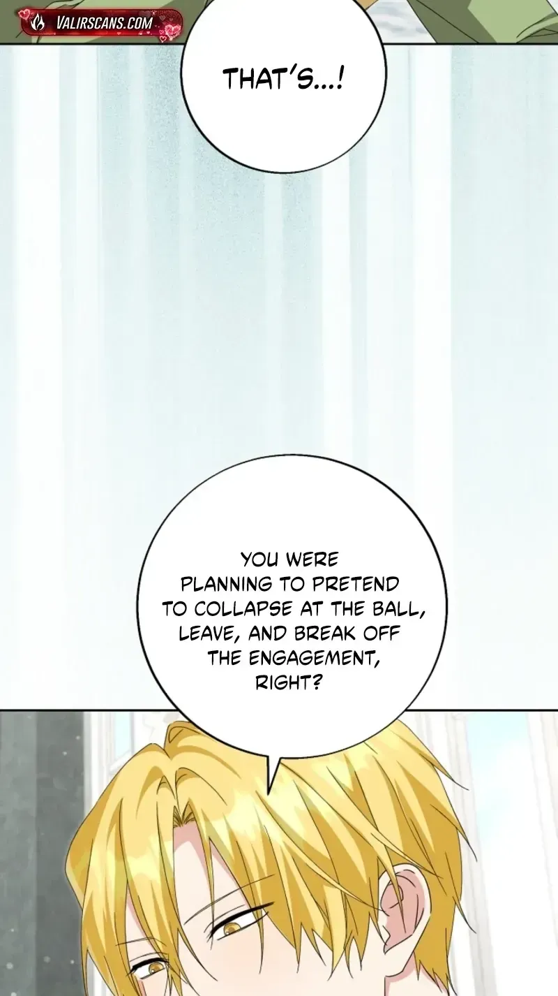I Opened an Illegal Veterinary Clinic in Another World chapter 43 page 58