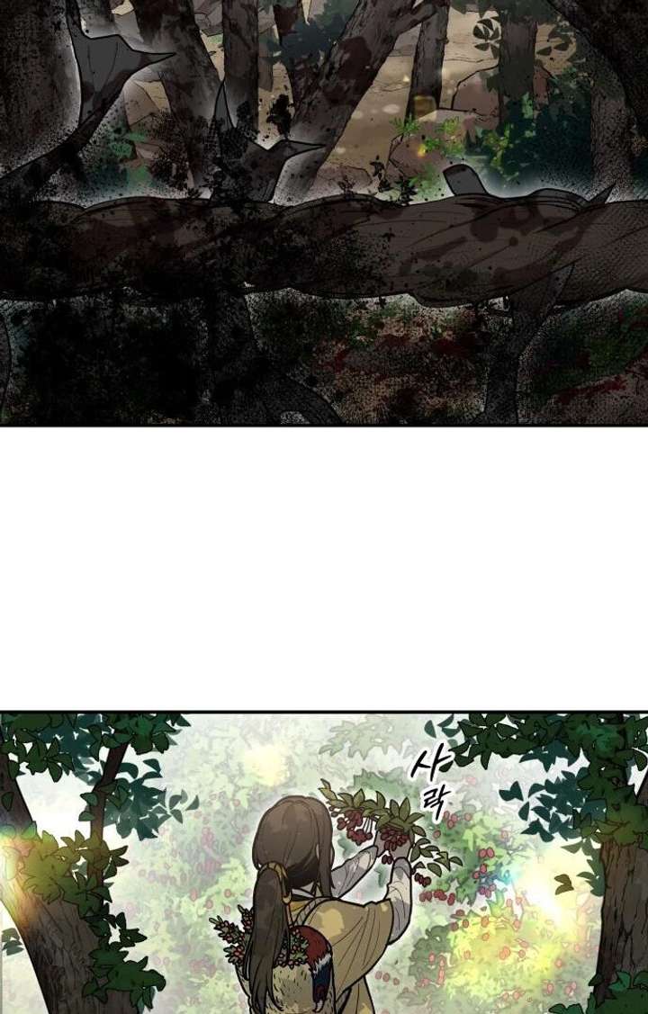 Bari, The Thunder That Awakens the Stars chapter 1 page 40