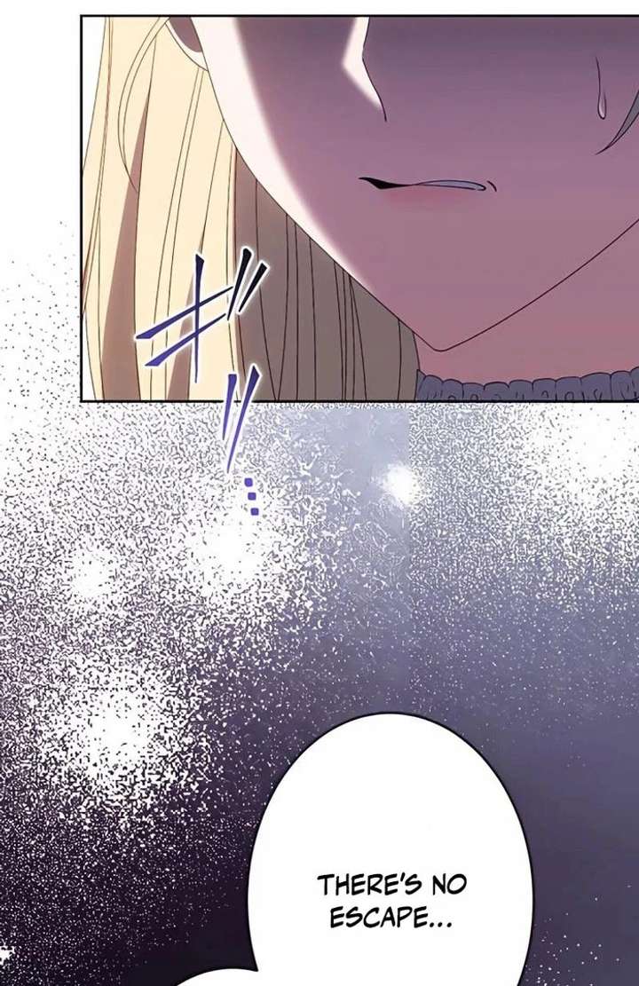 Don’t Obsess Over the Fake Princess! chapter 13 page 46