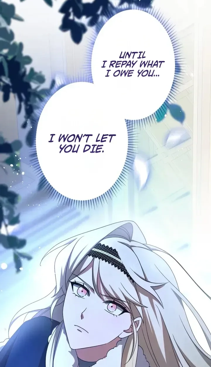 Don’t Obsess Over the Fake Princess! chapter 41 page 3