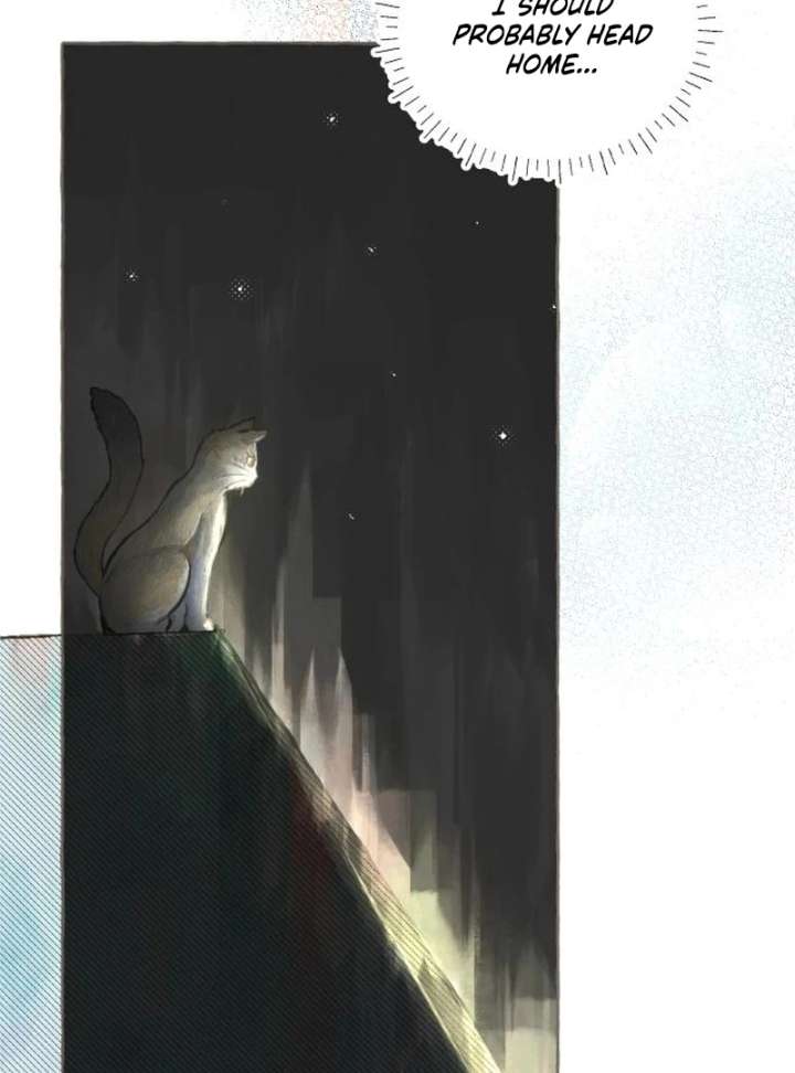 I catch you chapter 2 page 53