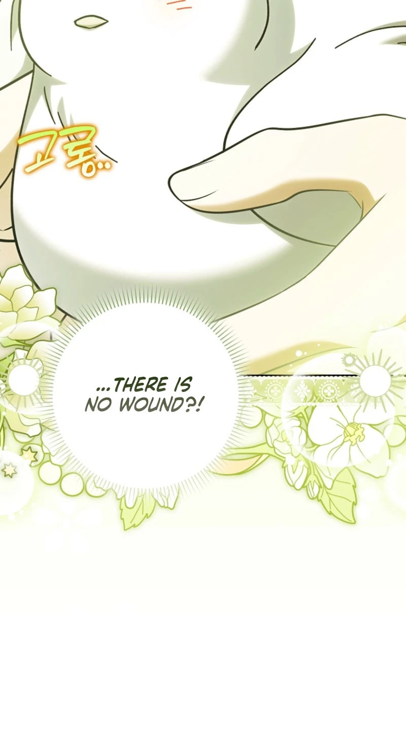 The White Tiger Princess is Not in Danger chapter 48 page 27