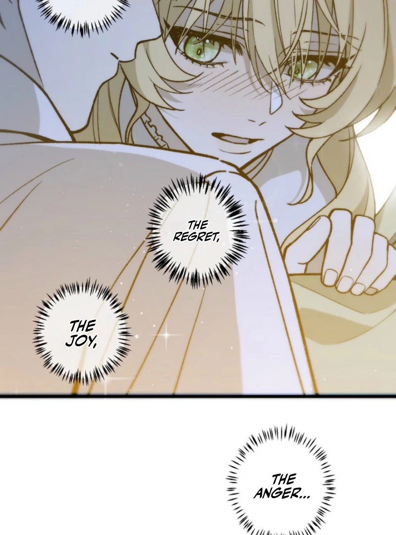 In the Ice Emperor’s Birdcage chapter 17 page 16