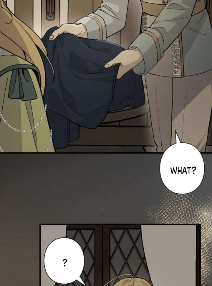 In the Ice Emperor’s Birdcage chapter 18 page 87