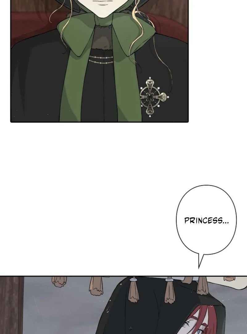 In the Ice Emperor’s Birdcage chapter 3 page 96
