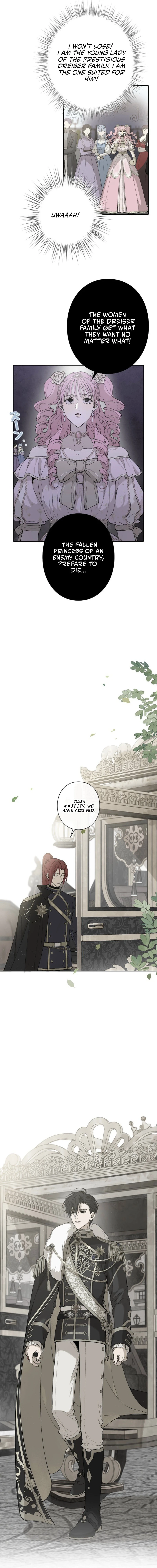 In the Ice Emperor’s Birdcage chapter 9 page 11