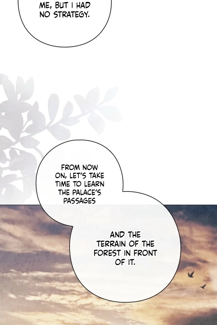 For the Goddesses: For Daphne chapter 18 page 144