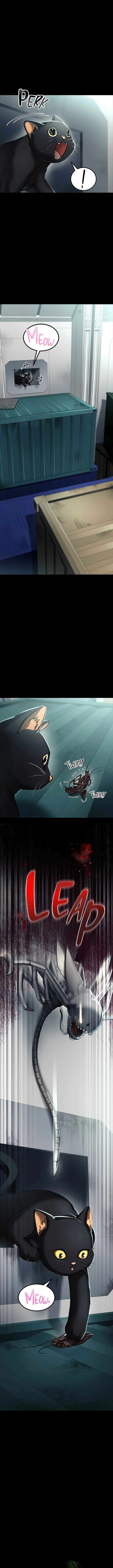 I Became an Evolving Space Monster chapter 7 page 8