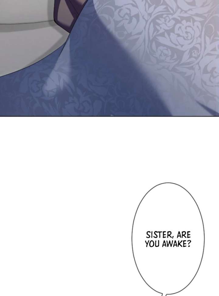 Behold The Perfect Villainess chapter 1 page 25