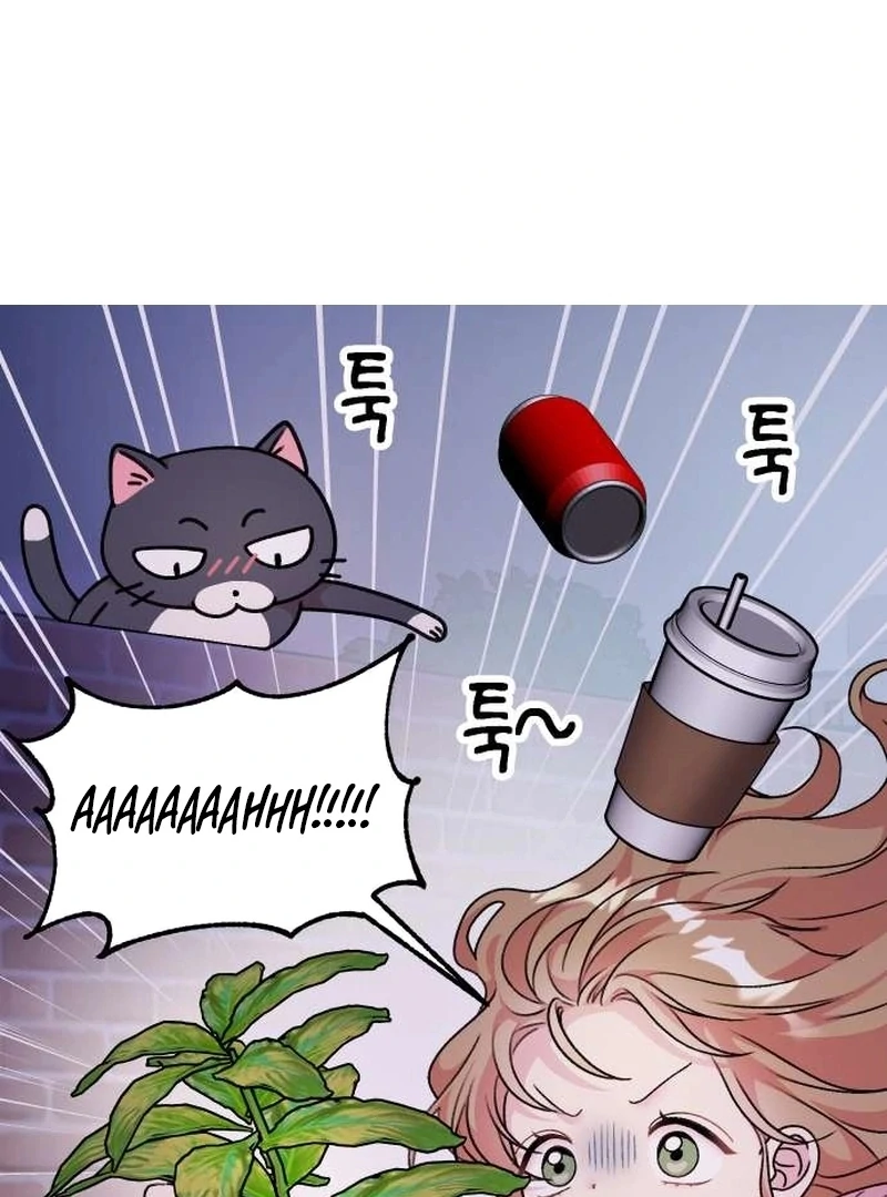 Meow-Meow Squeak-Squeak! chapter 4 page 11