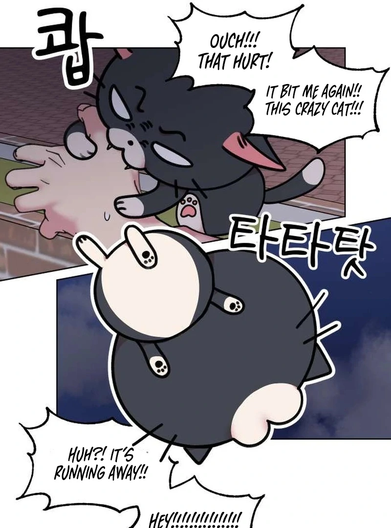 Meow-Meow Squeak-Squeak! chapter 4 page 29