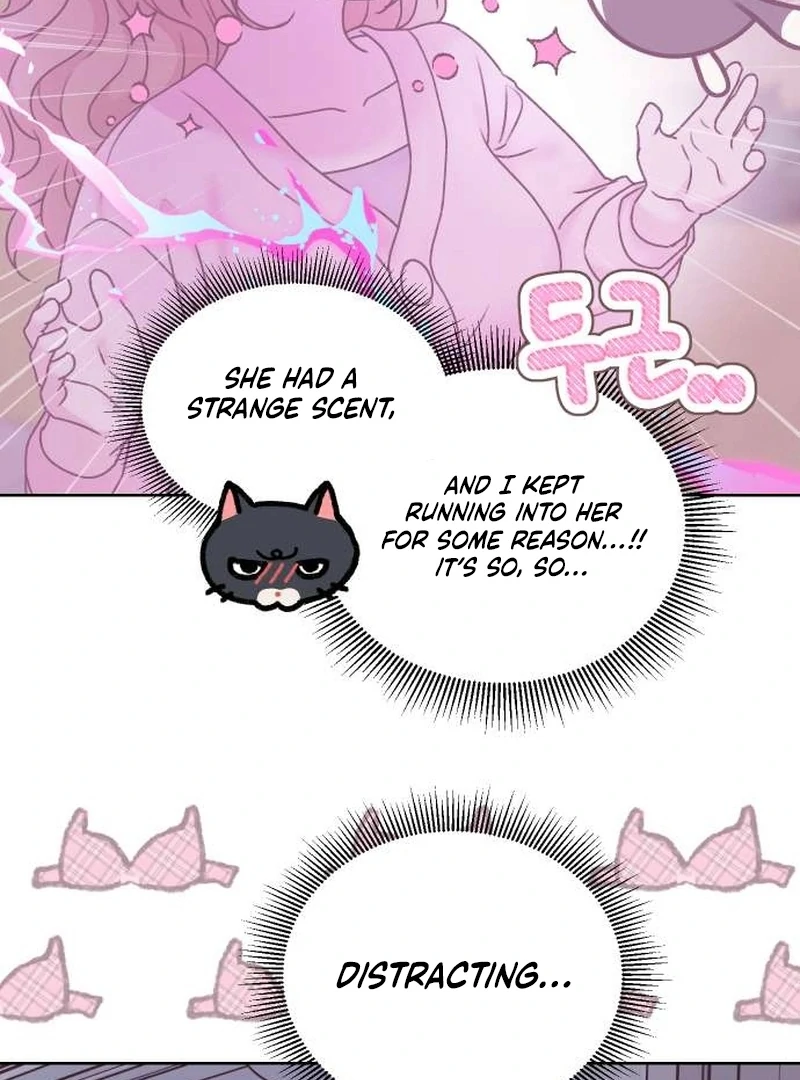 Meow-Meow Squeak-Squeak! chapter 4 page 41