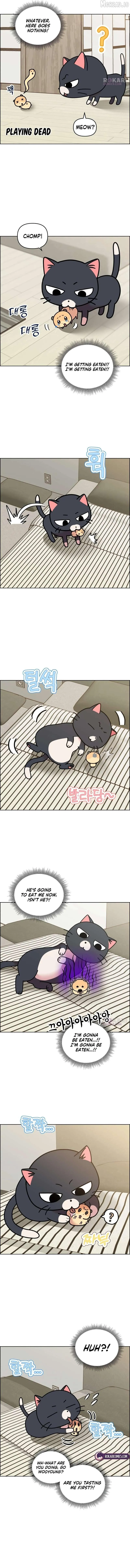 Meow-Meow Squeak-Squeak! chapter 50 page 5