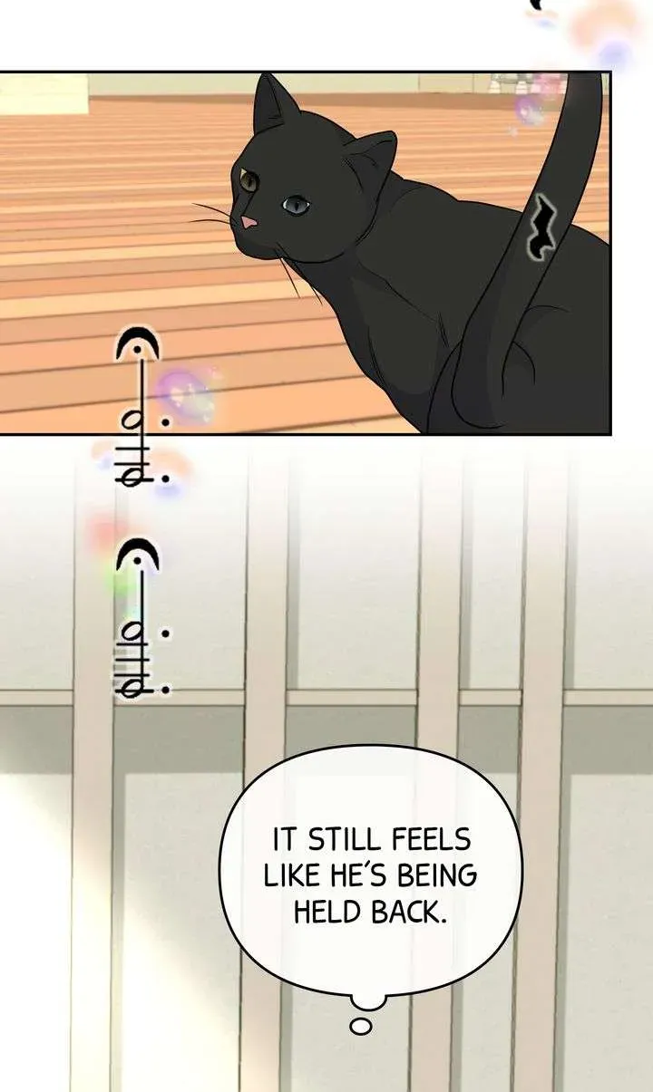 Da Capo chapter 51 page 43
