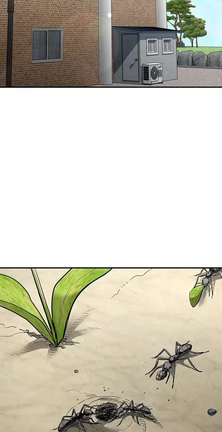 Empire of the Ants chapter 35 page 18