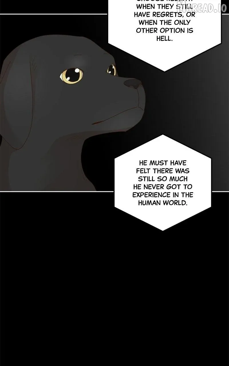 The Grim Reaper Is My Guardian chapter 33 page 12