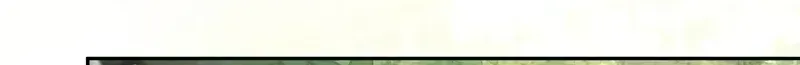 An Affair with My Knight chapter 28 page 116