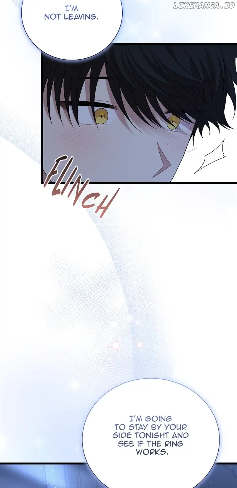 Princess’ Dangerous Brothers chapter 101 page 3