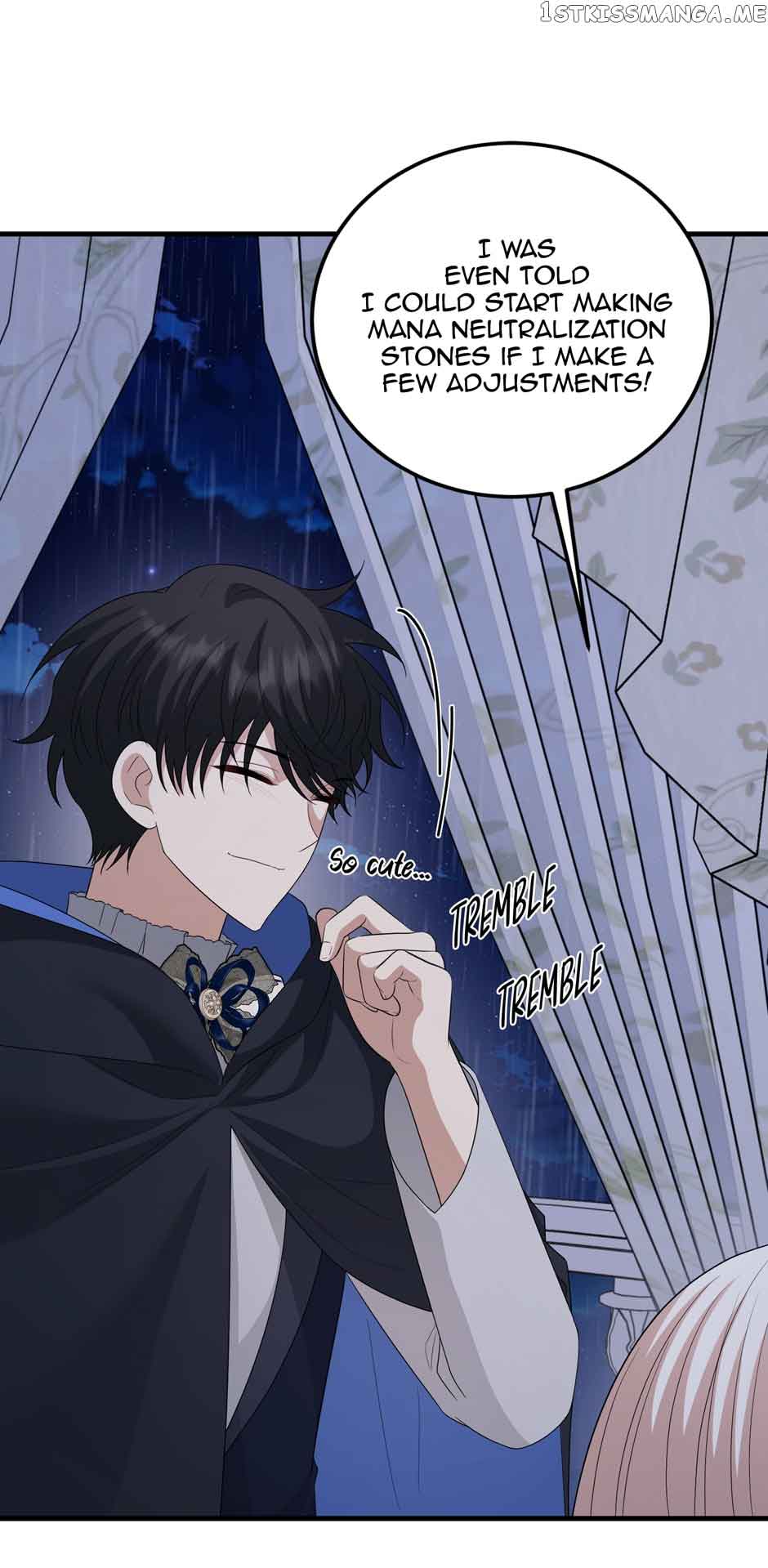 Princess’ Dangerous Brothers chapter 73 page 28
