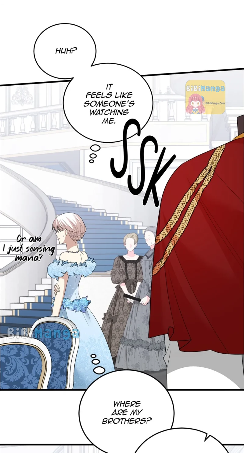 Princess’ Dangerous Brothers chapter 78 page 28