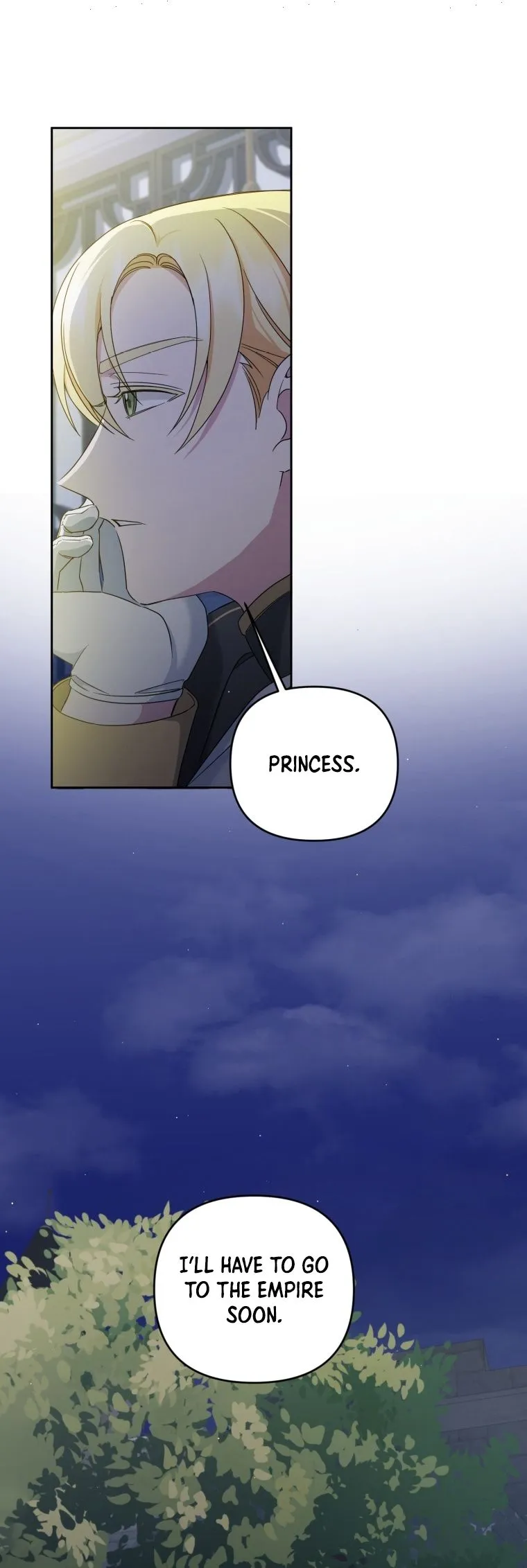 The Princess is Evil chapter 49 page 15