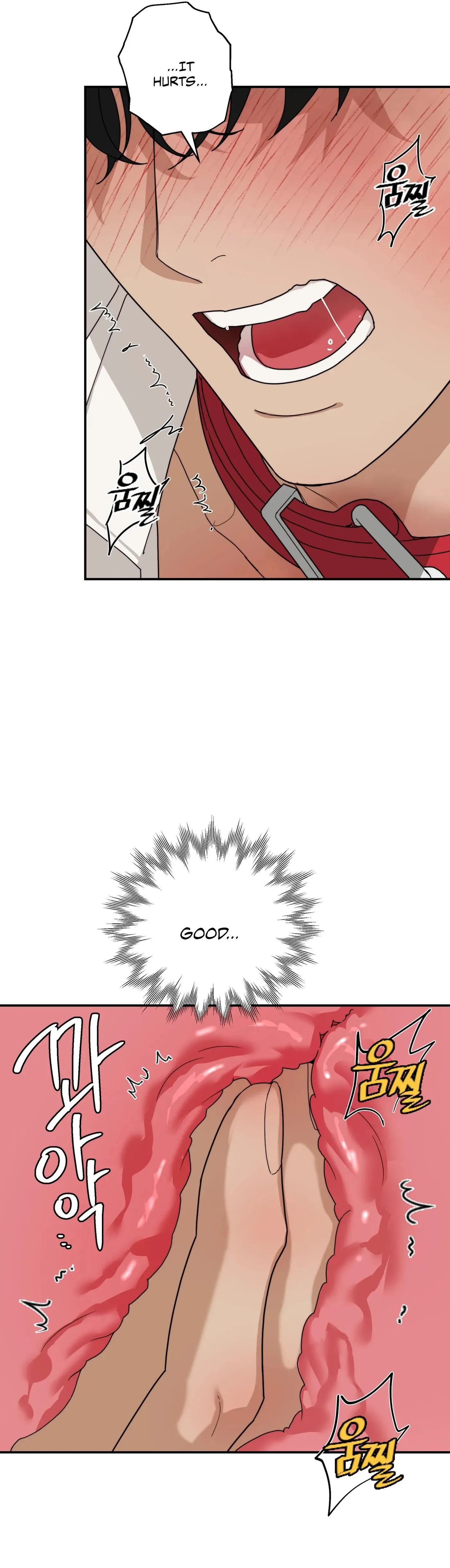 Revenge [Official] chapter 48 page 37