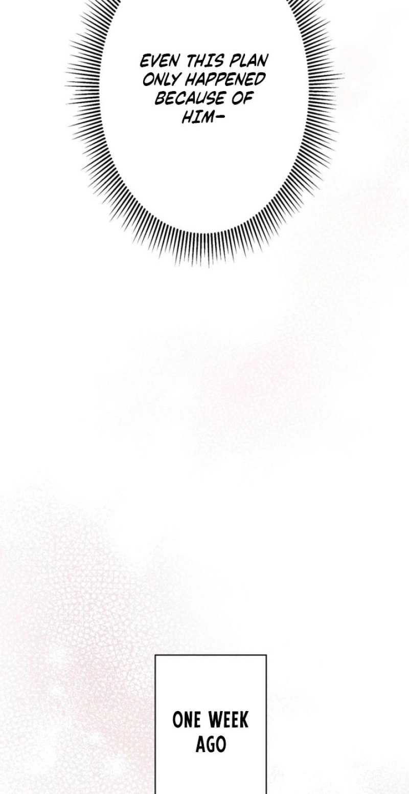 The Fiancé After the Rain chapter 33 page 63