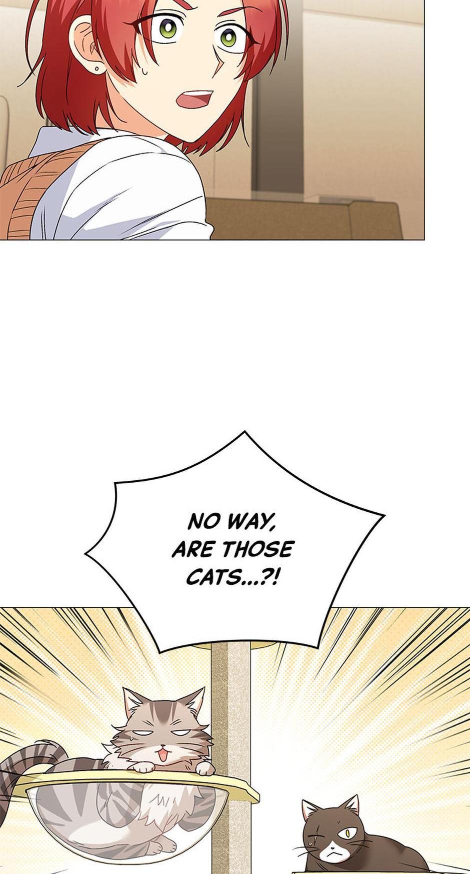 Hello! Veterinarian! chapter 39 page 53