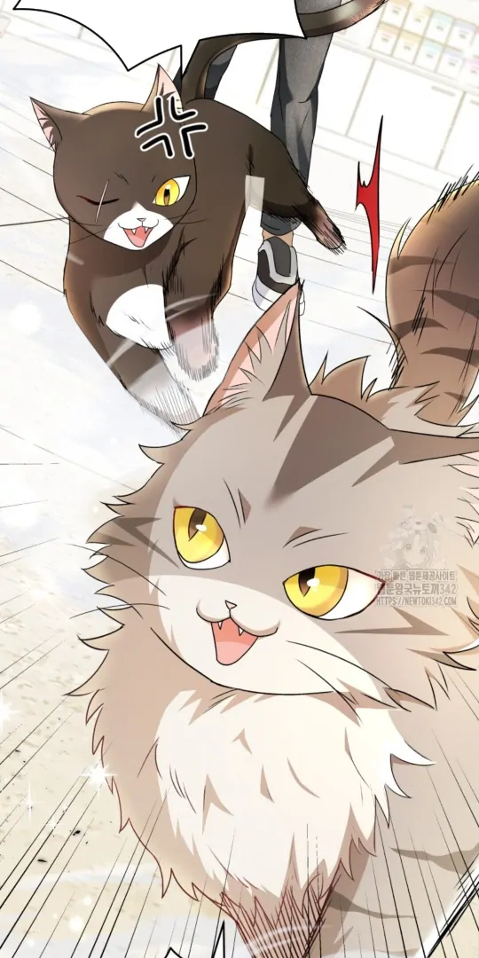 Hello! Veterinarian! chapter 51 page 23